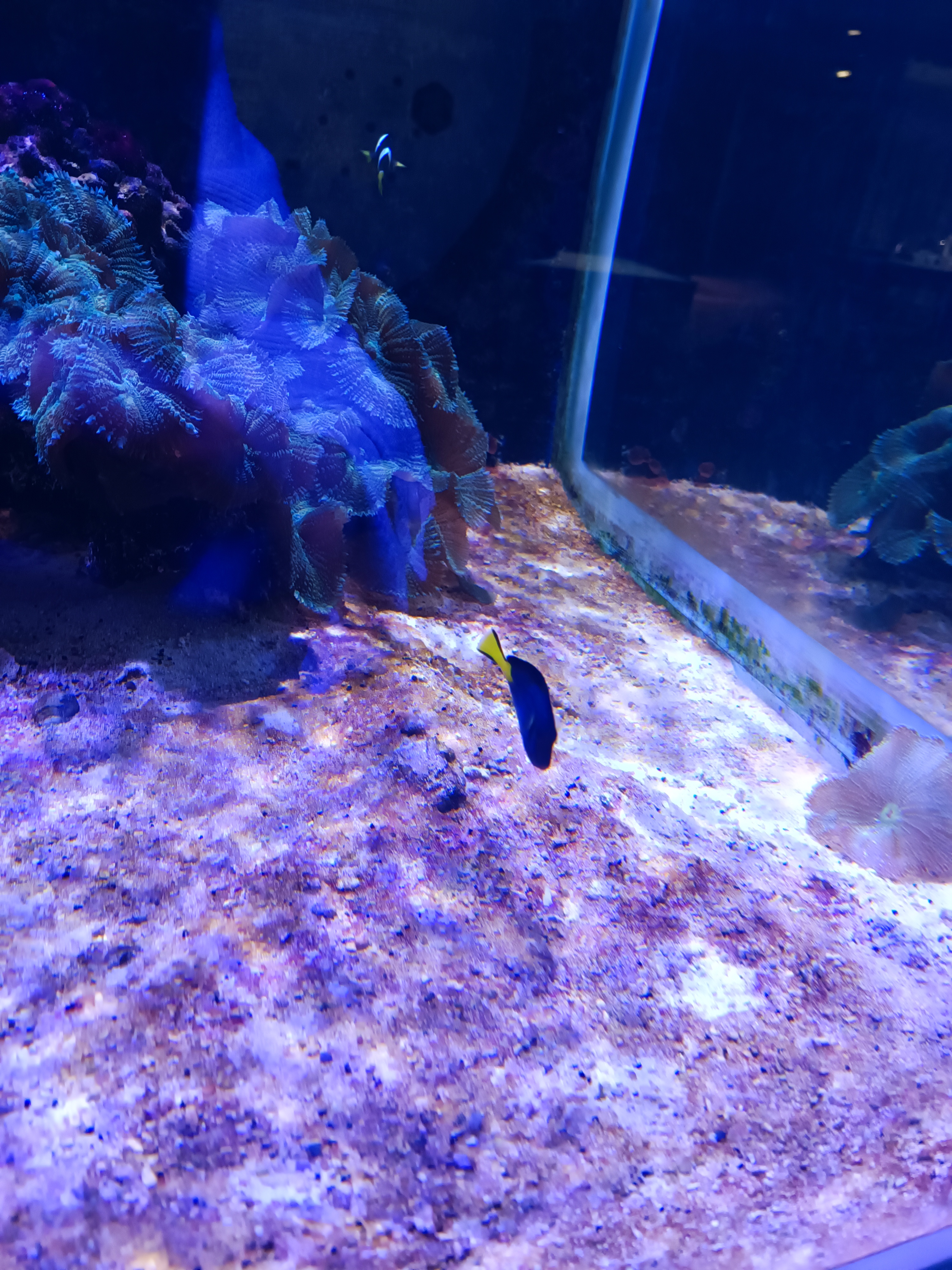 Photo n° 4 de l'avis de MIMI.U fait le 04/02/2024 à 09:46