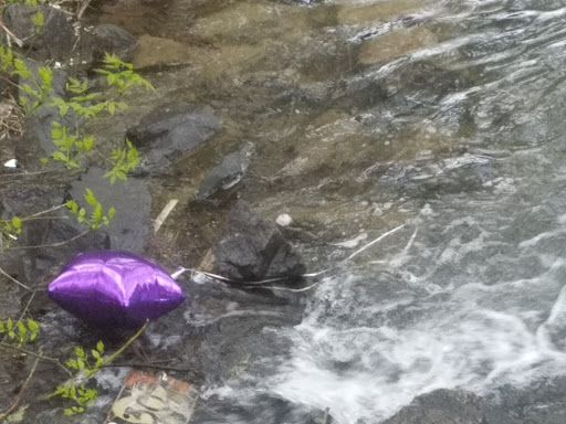 Memorial Park «E.B. Rains Jr. Memorial Park», reviews and photos, 11701 Community Center Dr, Northglenn, CO 80233, USA