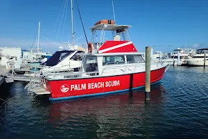 Palm Beach Scuba image