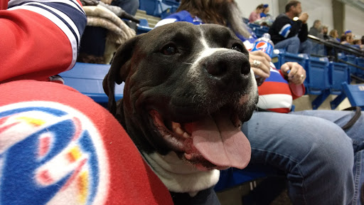 Gym «Genesis Health Clubs - Wichita Ice Center», reviews and photos, 505 W Maple St, Wichita, KS 67213, USA