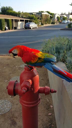 Pet Supply Store «PetSmart», reviews and photos, 33963 Doheny Park Rd, San Juan Capistrano, CA 92675, USA