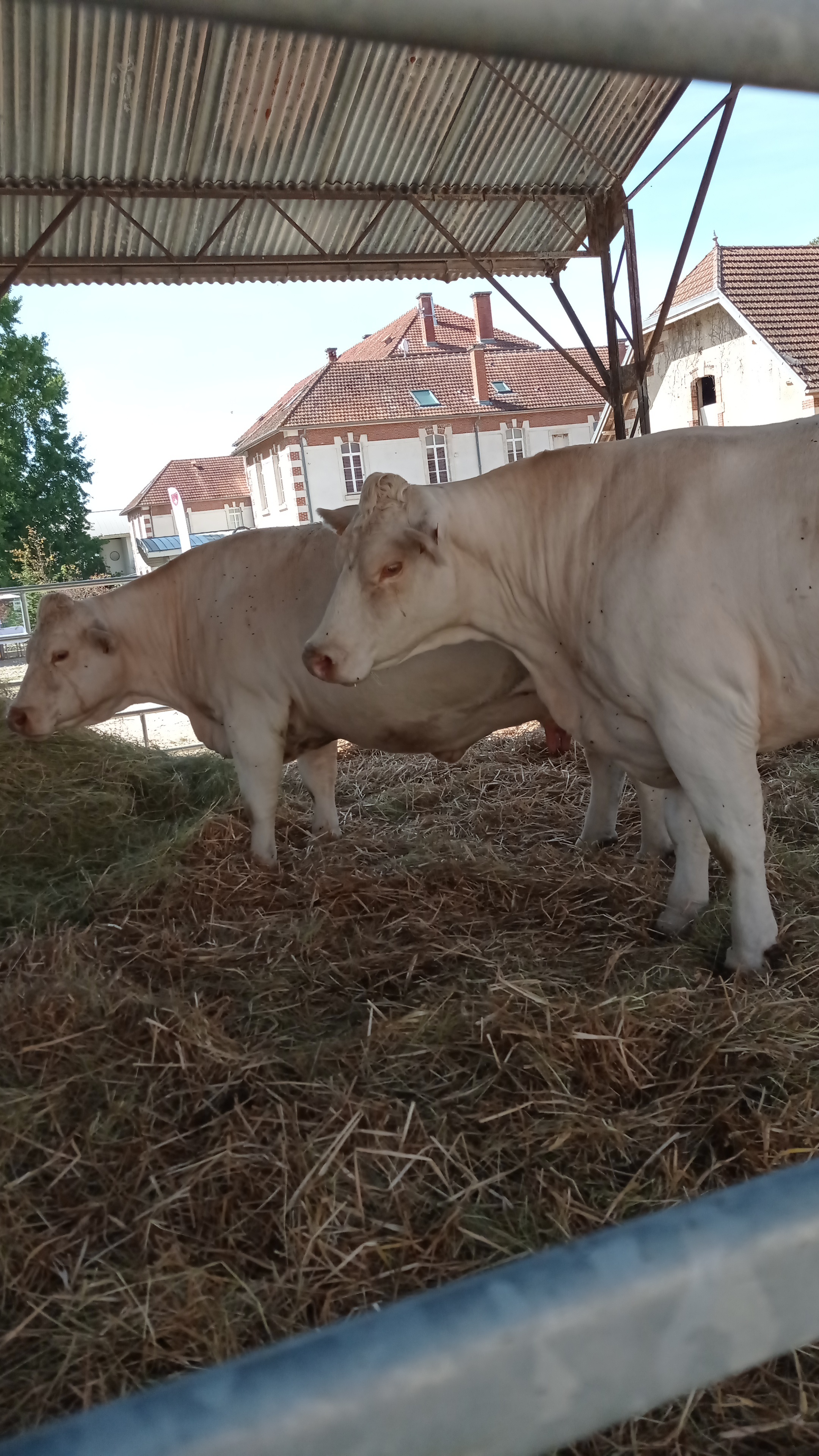 Photo n° 4 de l'avis de Mélanie.o fait le 02/09/2023 à 21:05