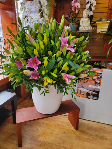 Florist «Alborada Florist», reviews and photos, 17 Huguenot St, New Rochelle, NY 10801, USA