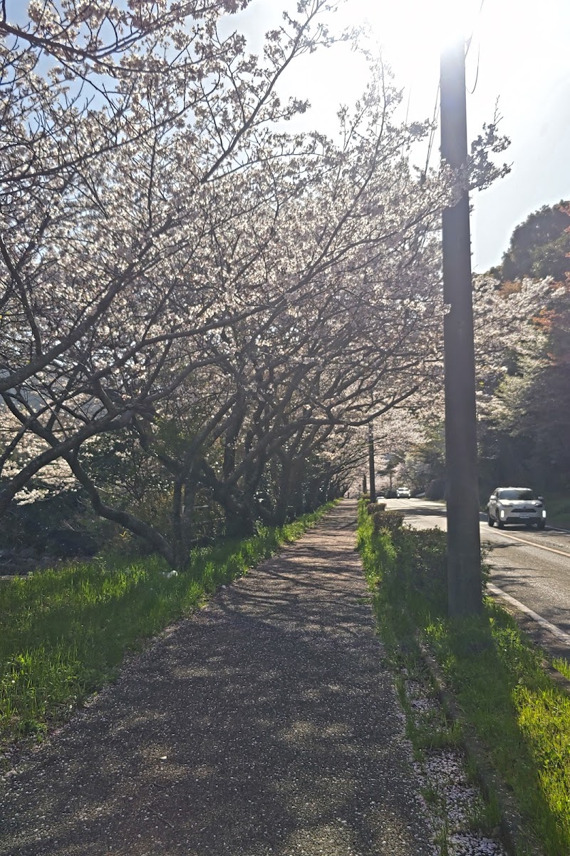 桜並木の花のみち 駐車場