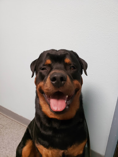 Barnes Veterinary Services image