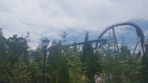 Roller Coaster «Dragon Challenge», reviews and photos, 6000 Universal Blvd, Orlando, FL 32819, USA