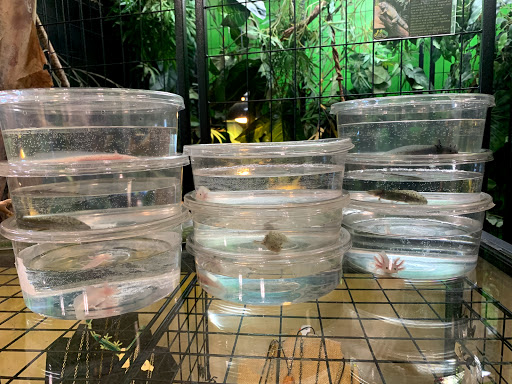 Pet Store «Parker Exotic Pets», reviews and photos, 17880 Cottonwood Dr, Parker, CO 80134, USA