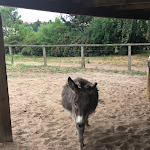 Photo n°6 de l'avis de Christian.r fait le 13/06/2018 à 07:23 sur le  Kur- & Landhotel Borstel-Treff à Dabel