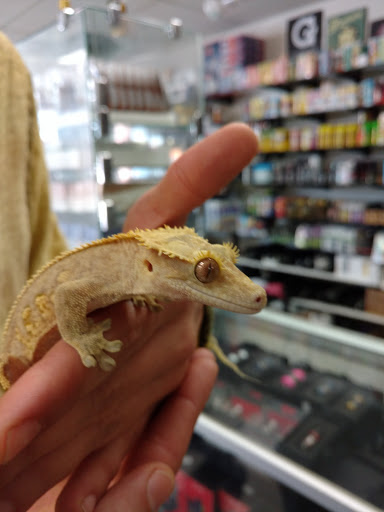 Tobacco Shop «VIshions Smoke Shop», reviews and photos, 3185 Midway Dr, San Diego, CA 92110, USA