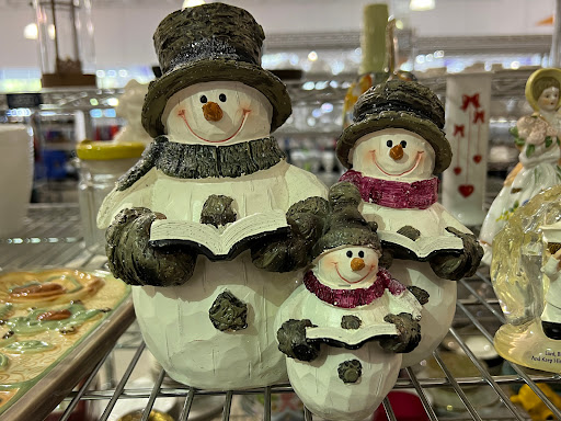 Consultant «Goodwill», reviews and photos