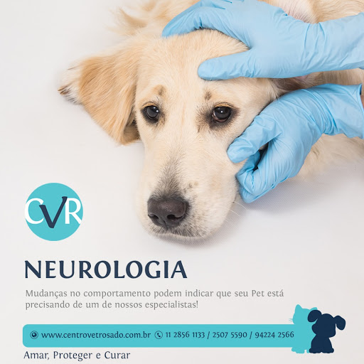 Veterinary Clinic Rosado em São Paulo - SP
