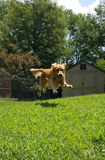 Happy Spot Pet Resort