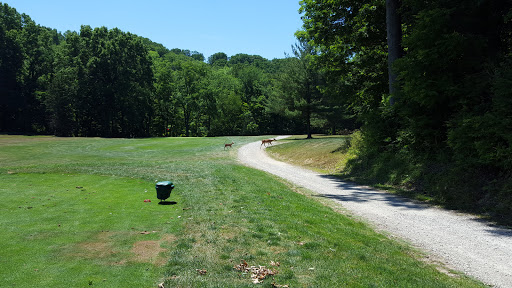 Golf Course «Little Met Golf Course», reviews and photos, 18599 Old Lorain Rd, Cleveland, OH 44135, USA