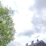 Photo n°5 de l'avis de Derek.u fait le 12/05/2023 à 13:16 sur le  Ayinger Bräustüberl à Aying