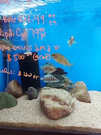 Tropical Fish Store «Tropi-Quatics Pet Center», reviews and photos, 337 S Main St, Lombard, IL 60148, USA
