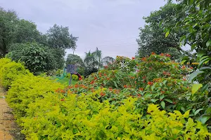Gawarala Garden image