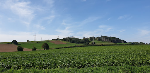 Jens Mühlberg unter Springe, 