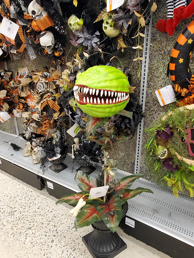 Craft Store «Michaels», reviews and photos, 4400 Fort Jackson Blvd #200, Columbia, SC 29209, USA