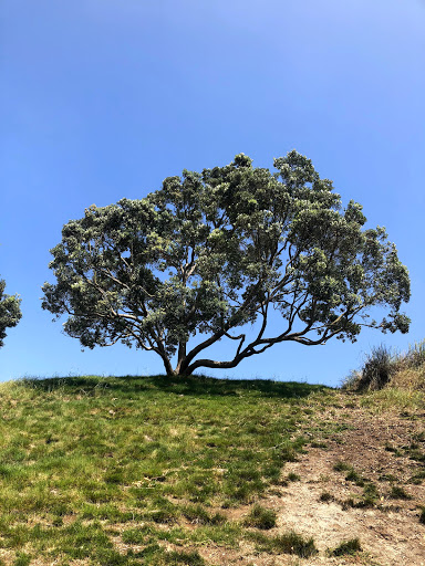 Golf Club «Trump National Golf Club Los Angeles», reviews and photos, 1 Trump National Dr, Rancho Palos Verdes, CA 90275, USA