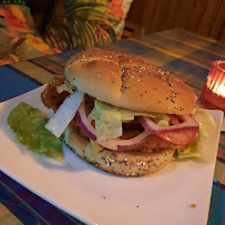 Hamburger du Restaurant Aloha - Snack Pizzeria à Arles - n°8