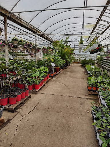 Plant Nursery «Blooming Acres», reviews and photos, 7561 State Rd, Wadsworth, OH 44281, USA