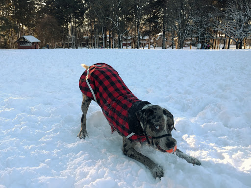 Park «Creston Park», reviews and photos, SE 44th Ave & Powell Blvd, Portland, OR 97206, USA