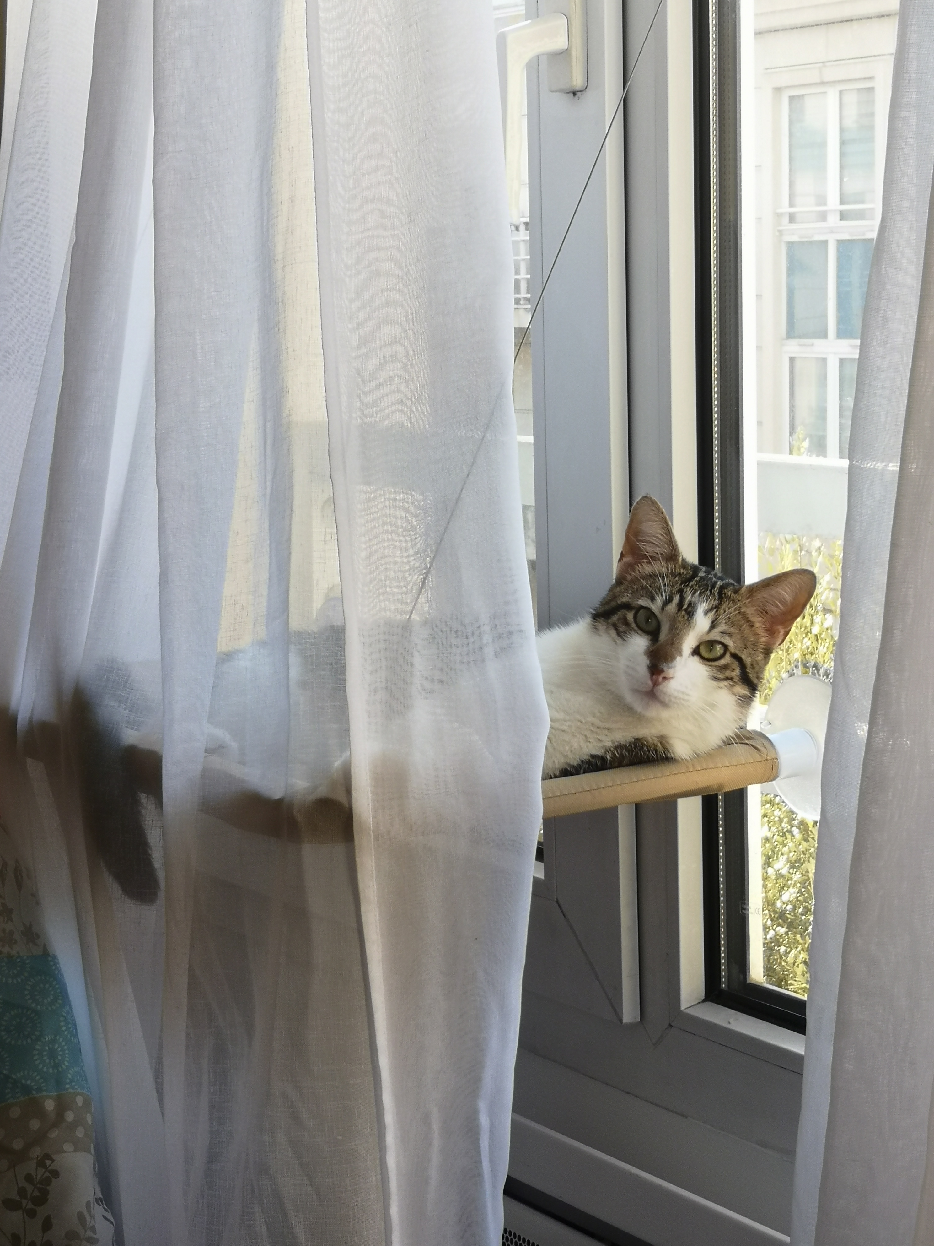 Photo n° 1 de l'avis de Anaïs.e fait le 22/04/2023 à 13:48