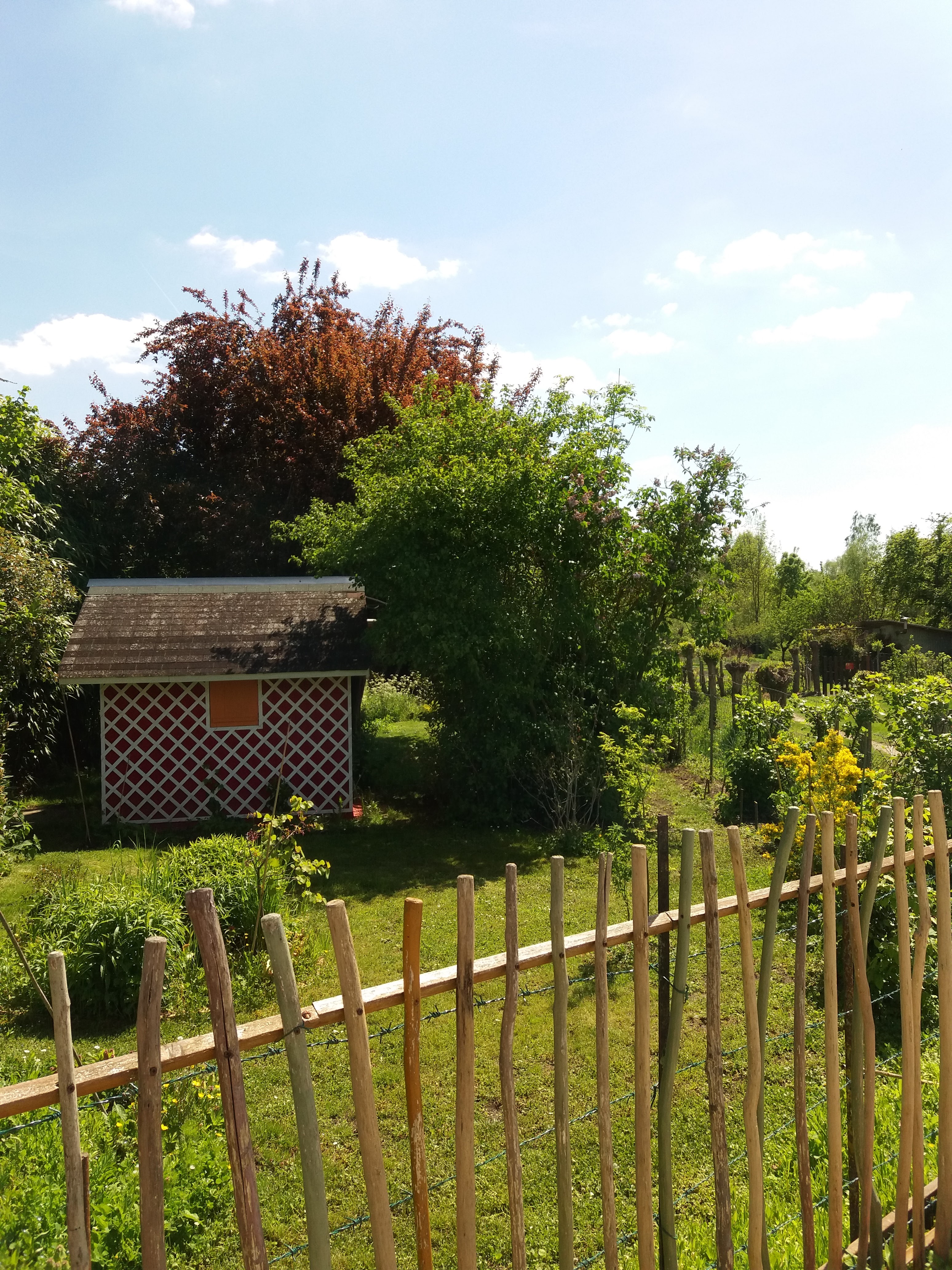 Photo n° 4 de l'avis de Brigitte.r fait le 06/05/2019 à 15:49