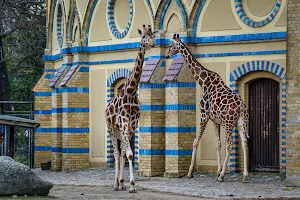 Giraffenhaus image