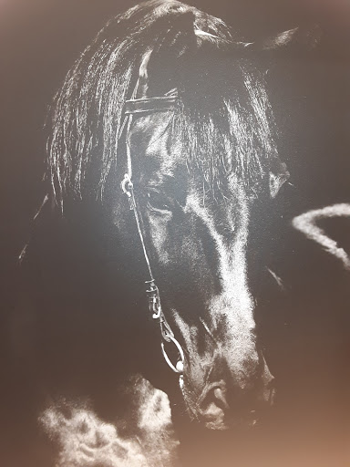 Clothing Store «Ross Dress for Less», reviews and photos, 1001 S Interstate 35 East Service Rd, DeSoto, TX 75115, USA