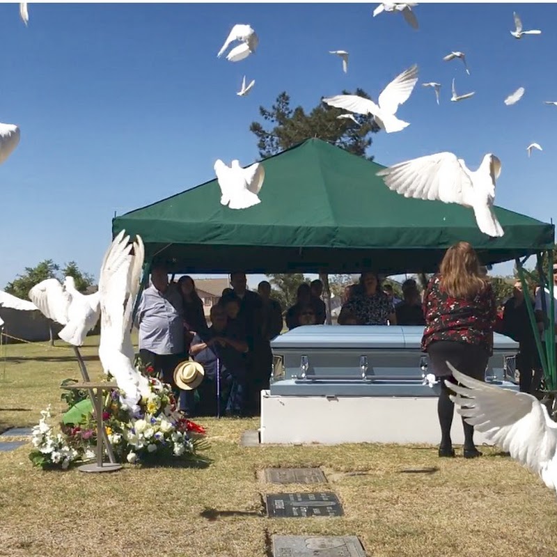 Ventura County White Dove Service