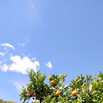 Photo n°4 de l'avis de Stef.i fait le 16/06/2019 à 21:26 sur le  Quinta Nova Nossa Senhora do Carmo à Quinta Nova