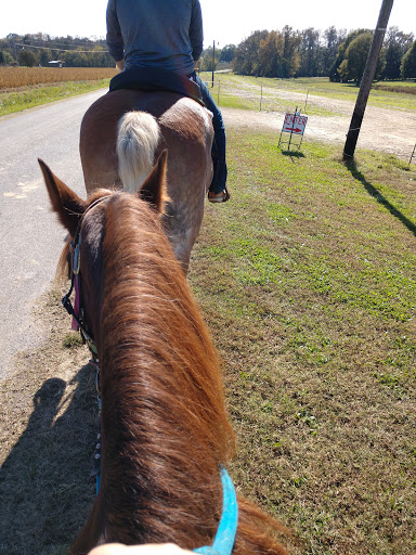 Country Time Equestrian Events