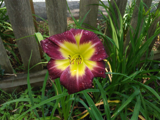 Park «Beech Woods Park», reviews and photos, 137 Beekman Rd, Kendall Park, NJ 08824, USA