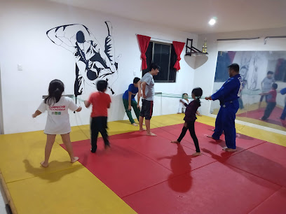 JUDOTECNIA