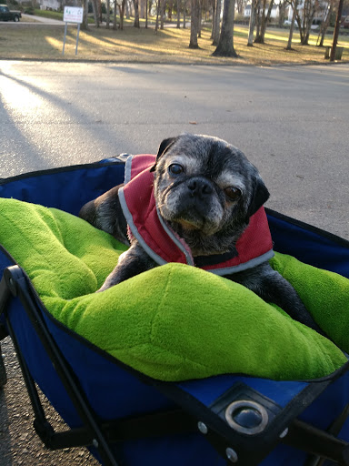 Recreation Center «Sevier Park Community Center», reviews and photos, 3021 Lealand Ln, Nashville, TN 37204, USA