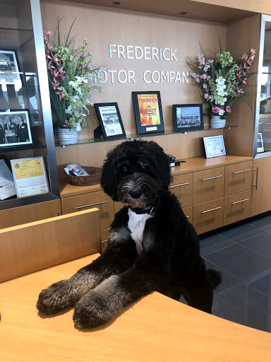 Subaru Dealer «Frederick Subaru», reviews and photos, 1417 W Patrick St, Frederick, MD 21702, USA