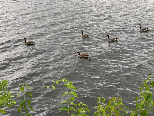 State Park «Lowell Heritage State Park», reviews and photos, 160 Pawtucket Blvd, Lowell, MA 01854, USA