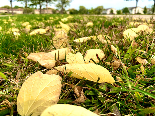 Park «Spring Lake Park», reviews and photos, 396 Springlake Ln, Aurora, IL 60504, USA