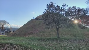 Grave Creek Mound Historical Site - photo 92