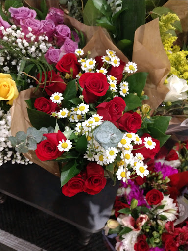 Grocery Store «H-E-B», reviews and photos, 7988 Farm to Market Rd 1488, Magnolia, TX 77354, USA