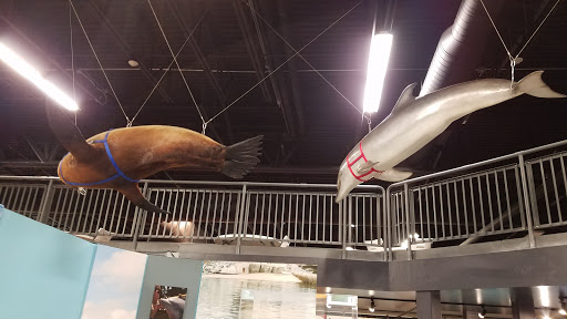 Museum «Naval Undersea Museum», reviews and photos, 1 Garnett Way, Keyport, WA 98345, USA