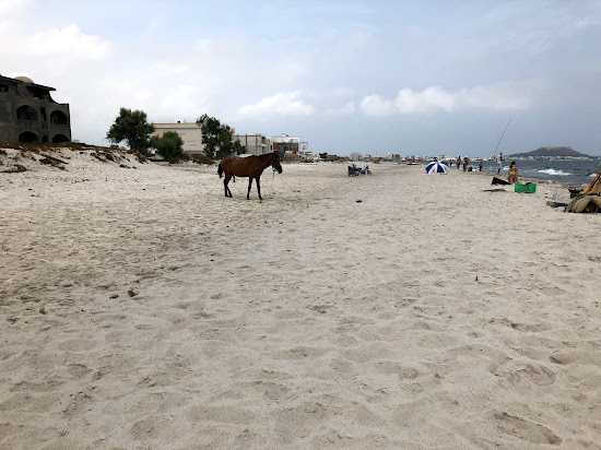 Ain Grenz Beach