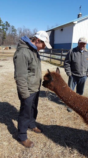 Farm «Painted Sky Alpaca Farm & Fiber Mill», reviews and photos, 95 Knight House Ln, Earleville, MD 21919, USA