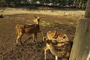 Jamunkhadi Zoo image
