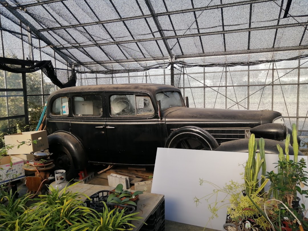 花工房 たんぽぽ 市内で伊豆の国市