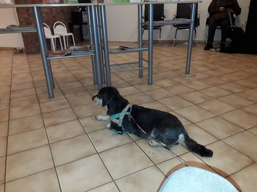 Veterinary practice Axel Beck unter Merzenich, Nordrhein-Westfalen