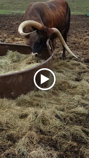 Convenience Store «Fuel City», reviews and photos, 801 S Riverfront Blvd, Dallas, TX 75207, USA