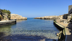 Photo de Cala Paguro zone sauvage