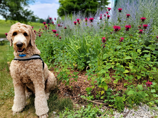 Winery «Fenn Valley Vineyards», reviews and photos, 6130 122nd Ave, Fennville, MI 49408, USA